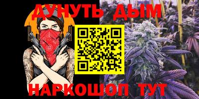 гашик Донецк