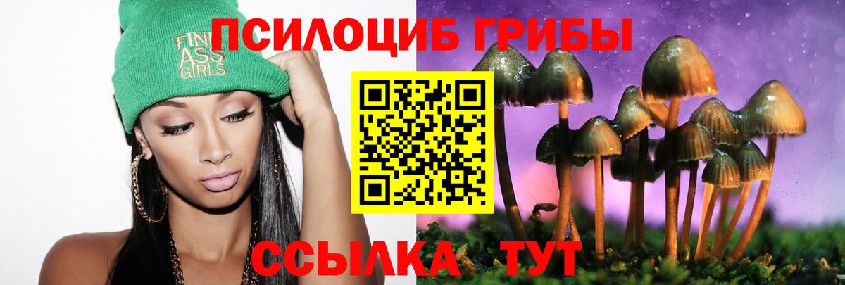 Псилоцибиновые грибы Psilocybe Заинск